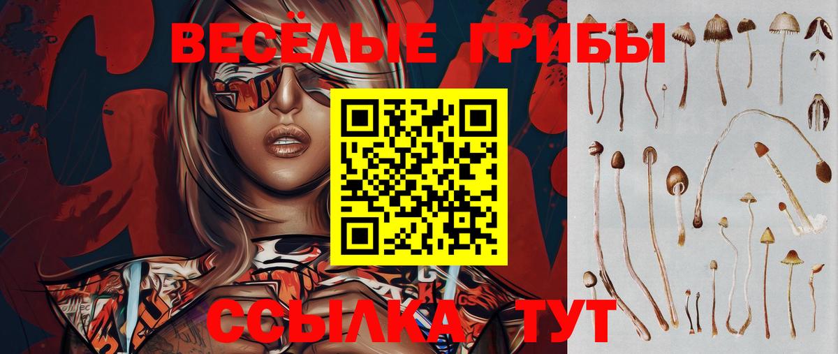 Псилоцибиновые грибы мухоморы Кстово
