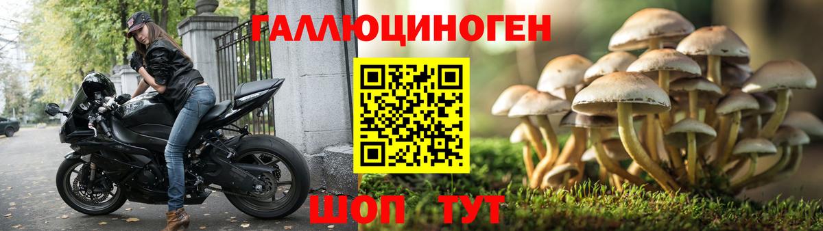 Галлюциногенные грибы Psilocybine cubensis  Вход с VPN  купить наркоту  Кстово 